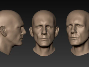 12 male heads 3D Model