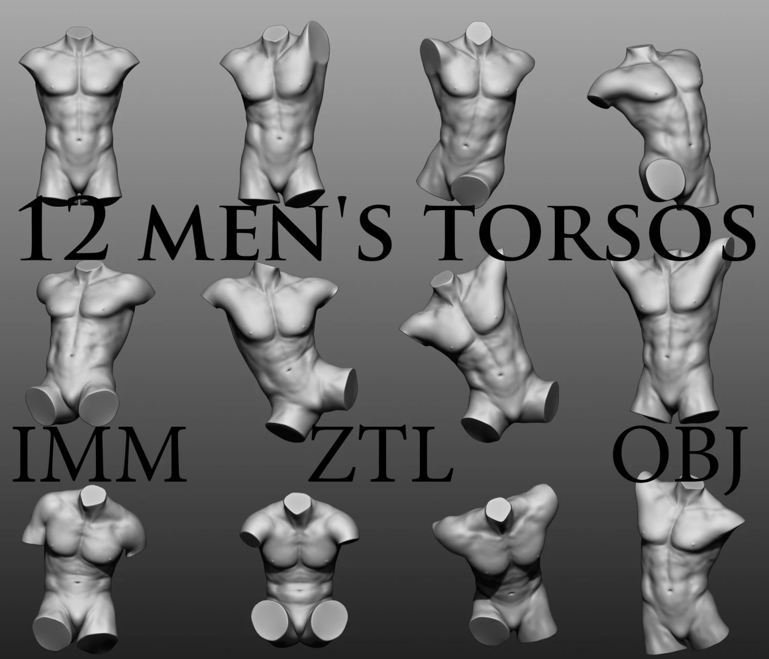 12 mens torsos 3D Model .c4d .max .obj .3ds .fbx .stl .blend
