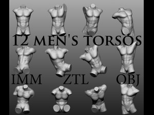 12 mens torsos 3D-Modell