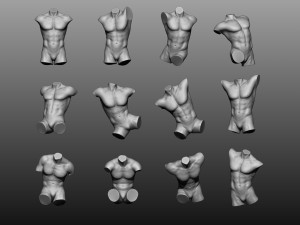 12 mens torsos 3D Model