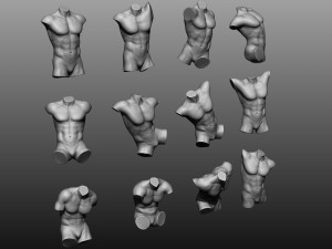 12 mens torsos 3D Model