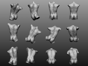 12 mens torsos 3D Model