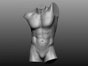 12 mens torsos 3D Model