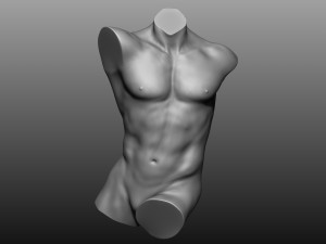 12 mens torsos 3D Model