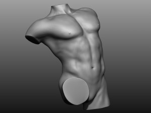 12 mens torsos 3D Model