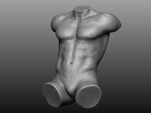 12 mens torsos 3D Model
