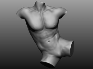 12 mens torsos 3D Model