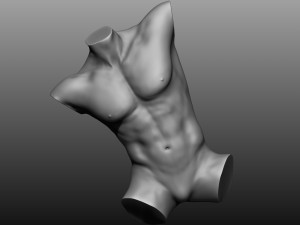 12 mens torsos 3D Model