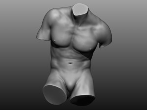 12 mens torsos 3D Model
