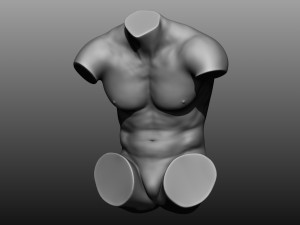 12 mens torsos 3D Model