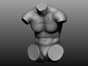 12 mens torsos 3D Model