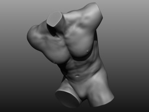 12 mens torsos 3D Model