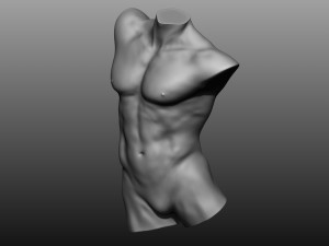12 mens torsos 3D Model