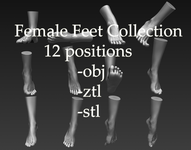 3d printable female feet Modelo 3D .c4d .max .obj .3ds .fbx .stl .blend 