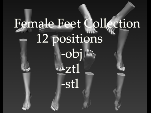 3d printable female feet Modèle 3D