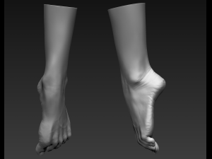 3d printable female feet Modelo 3D