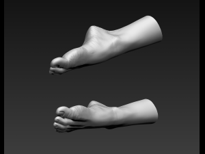 3d printable female feet Modelo 3D