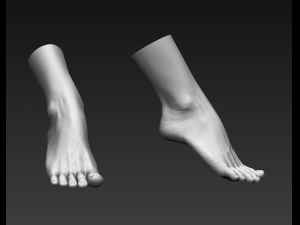 3d printable female feet Modelo 3D