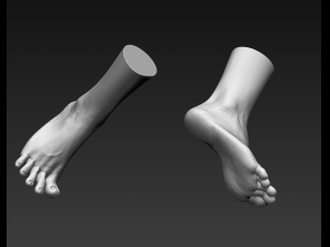 3d printable female feet Modelo 3D