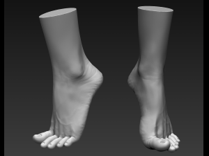 3d printable female feet Modelo 3D