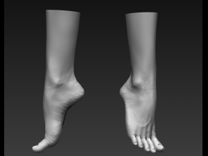 3d printable female feet Modelo 3D