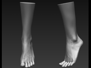 3d printable female feet Modelo 3D