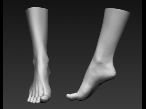 3d printable female feet Modelo 3D