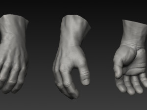 handz 3D 模型
