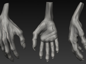 handz 3D 模型