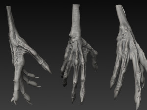 handz 3D 模型