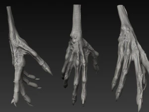 handz 3D Model