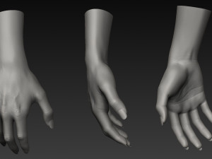 handz 3D 模型