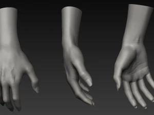 handz 3D Model
