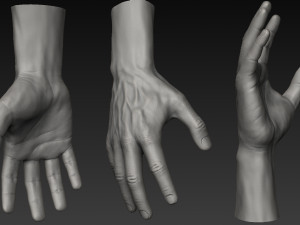 handz 3D 模型