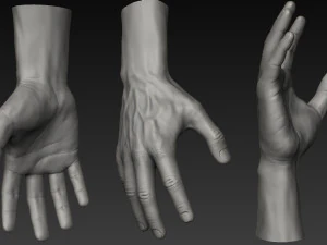 handz 3D Model