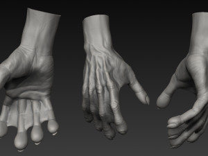 handz 3D 模型