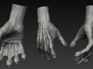 handz 3D Model