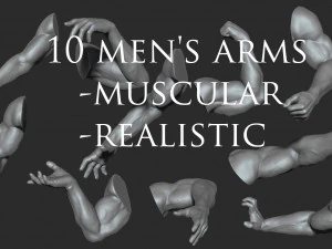 10 brazos musculosos para hombres Modelo 3D