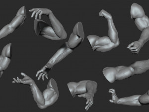 10 mens muscular arms Modèle 3D