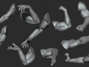 10 mens muscular arms 3D Model