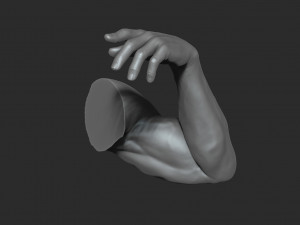 10 mens muscular arms Modèle 3D