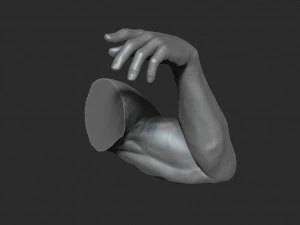 10 mens muscular arms 3D Model