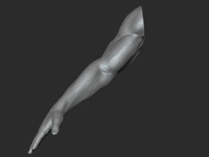 10 mens muscular arms 3D Model