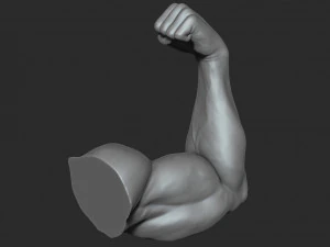 10 mens muscular arms 3D Model