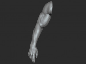 10 mens muscular arms Modèle 3D