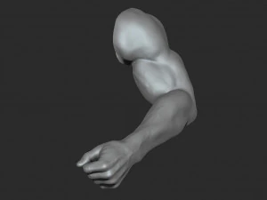10 mens muscular arms 3D Model