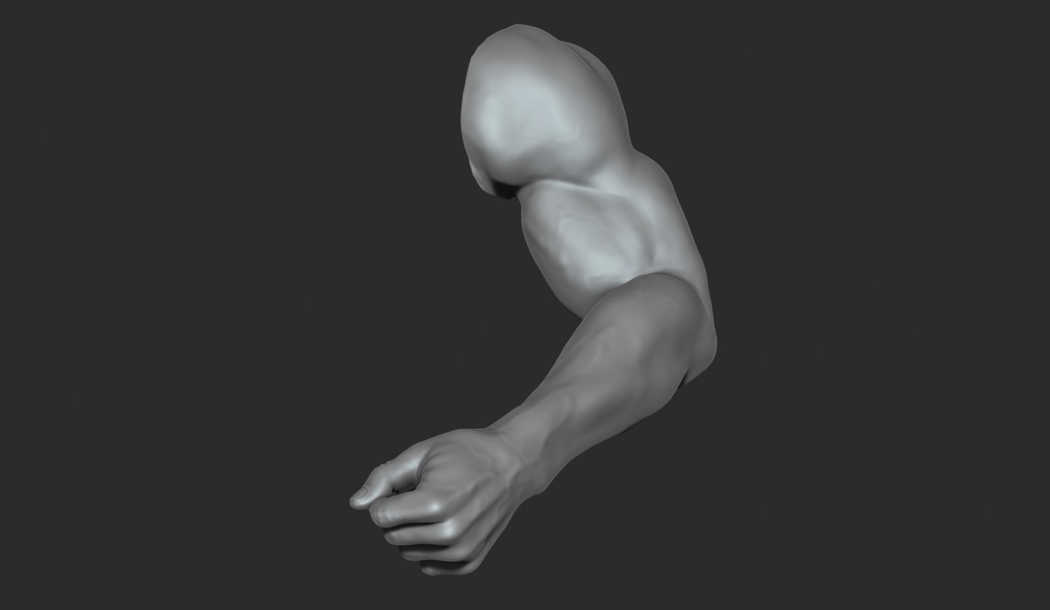 Arm 3d model