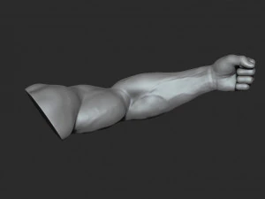 10 mens muscular arms 3D Model