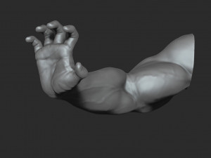 10 mens muscular arms Modèle 3D