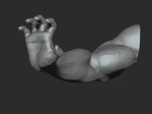 10 mens muscular arms 3D Model